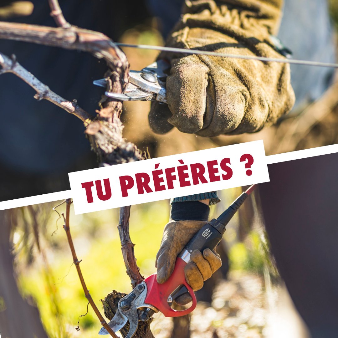 VitaBourgogne's tweet photo. [ 🤔Tu préfères ? ]

Plutôt taille au sécateur électrique ou manuel ?
Donnez-nous votre préférence en commentaire !

📸 : @vinsdebourgogne - IBANEZ Aurélien

#dilemme #tupreferes #dilemmedujour #bourgogne #vigne #sécateur #taille https://t.co/8DVmzv8vQa