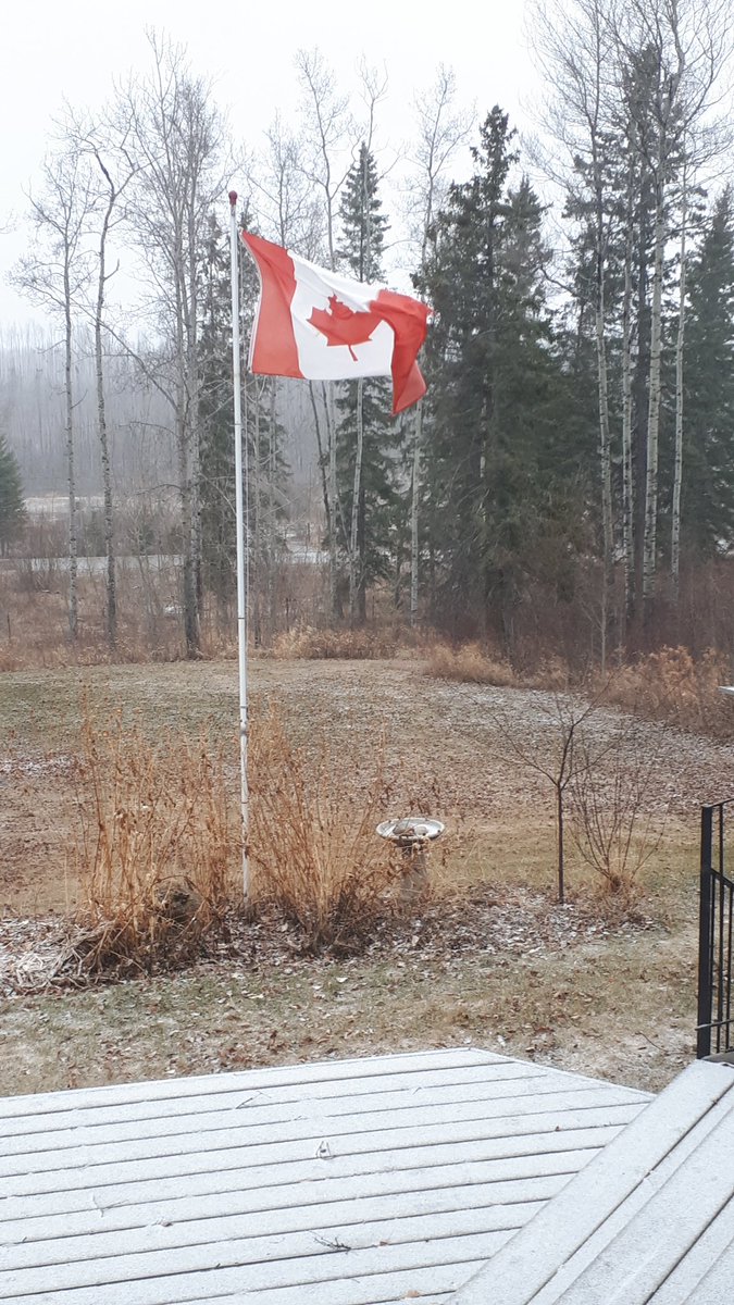 LindaMywaart's tweet photo. Things were looking tinder dry in the bush, so while I prefer liquid precipitation instead of flakes, I am grateful today for the moisture #reframe #attitudeofgratitude #findingpositives #encouragement https://t.co/M3nYkL3V1d