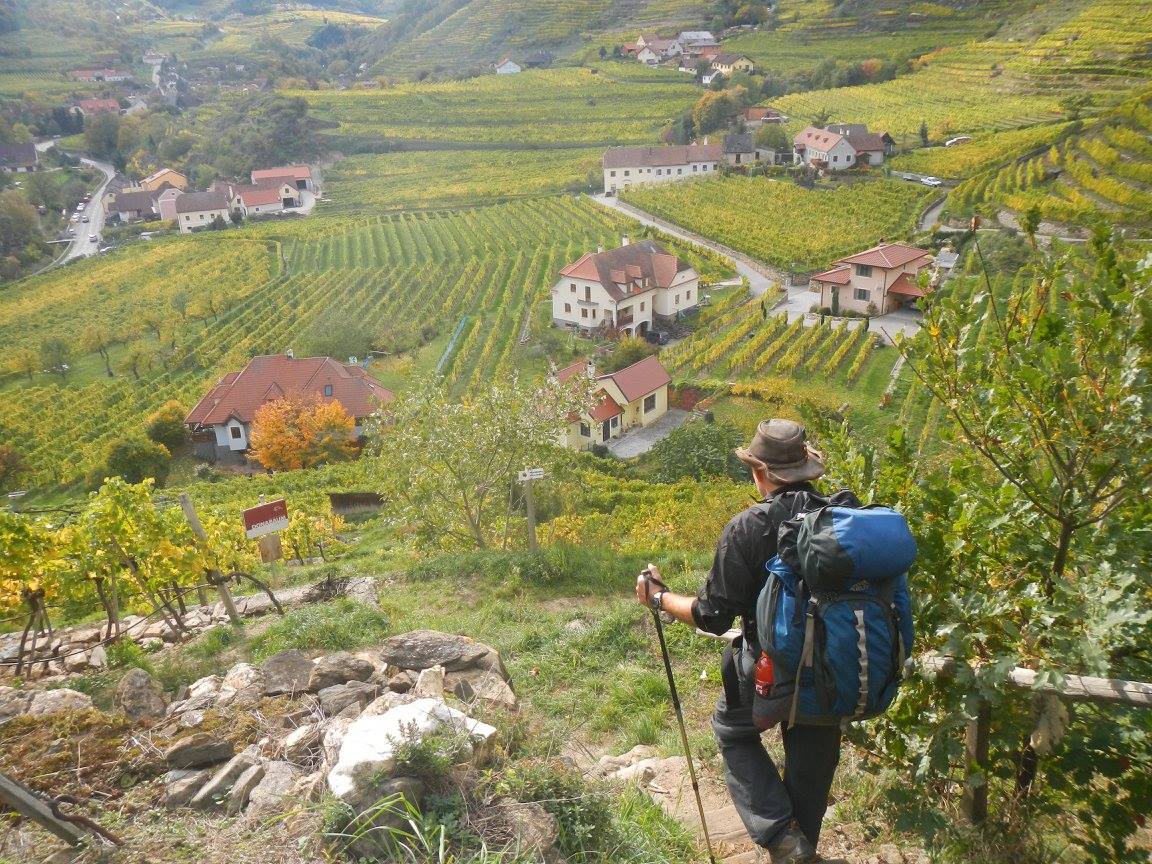 BaroLawrence's tweet photo. Wachau World Heritage Trail, Austria
#hking #adventure https://t.co/H6OshC1pFg