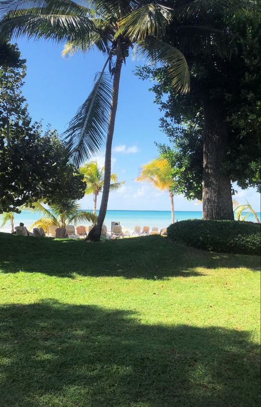 zHauseATX's tweet photo. gm 🏖️🌴
#morningview #travel #jamaica https://t.co/ZY5Z9kyjTl