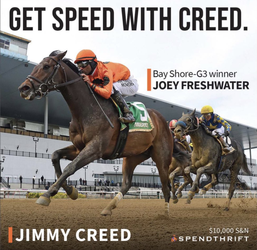 theTDN's tweet photo. #GetSpeedWithCreed GIII Bay Shore S. winner Joey Freshwater is a son of @spendthriftfarm stallion JIMMY CREED π https://t.co/SJU0CnXCI7