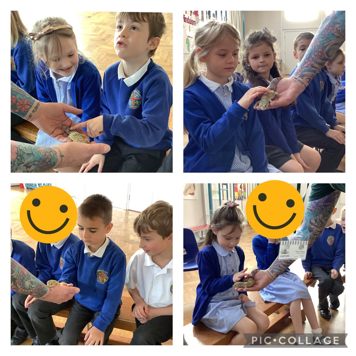 Grimoldby_Y5's tweet photo. Wow! Thank you @MeetTheBeasts for a wonderful session learning all about these amazing reptiles. Everyone was so brave! #respect https://t.co/msrIUV1w5n