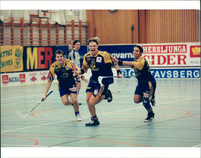 Riddersporre tweet media