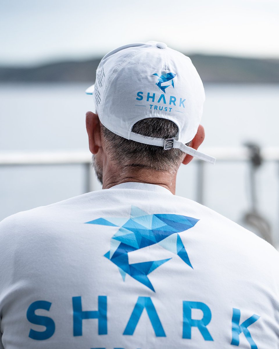 harryroseninc's tweet photo. The Paul &amp; Shark Spring/Summer collection shows their ongoing commitment to sustainability through the use of responsible raw materials, ranging from recycled plastic to the latest ECONYL® garments made from regenerated nylon. https://t.co/2h9ZUDF9N6 https://t.co/FxElty3HV1