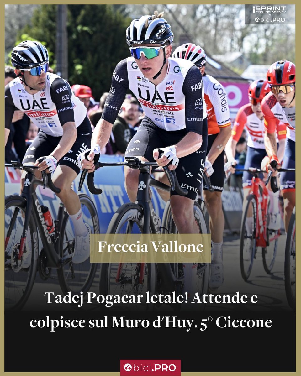 bici.PRO tweet media