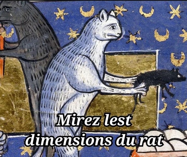 oorastb's tweet photo. 🐀thread de rats pour faire des économies avec des sites/appli (et mon avis de rats)🐀 https://t.co/Nb1Ryqo5Go