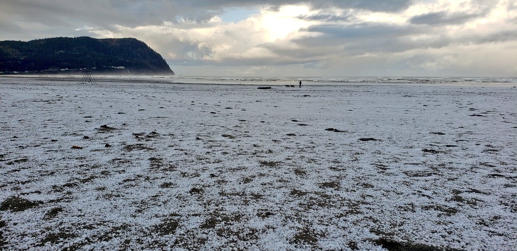 KGWphotog's tweet image. What the hail? Kinda chilly in Seaside. @KGWNews #hailstorm #Oregon