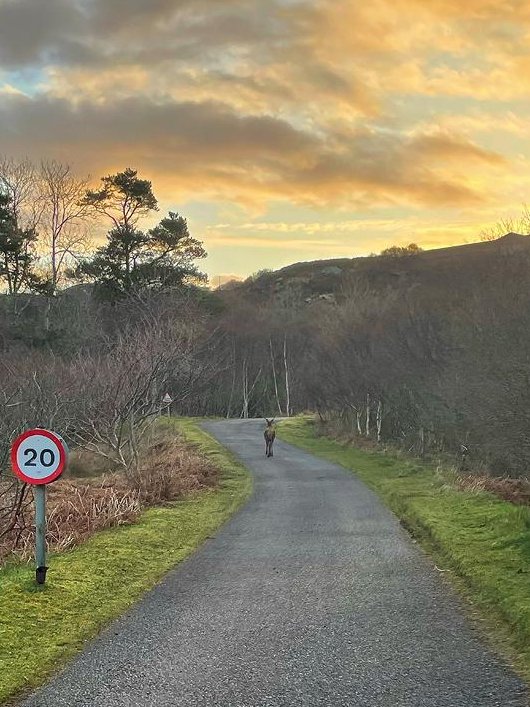 Inverlodgehotel's tweet photo. I was nearly late for work today, I had to wait for my fellow commuter to get there before me. https://t.co/ocBFNOMEDV