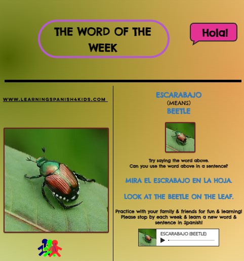 Check out the Word of the Week! 🐛 Learn a new word & sentence in English & Spanish each week ♥ 😉 #education #onlinelearning #tutoringservices #onlineclasses #childrensbooks #childrenactivities #teachingtips #insects #homeschool learningspanish4kids.com/word-of-the-we…