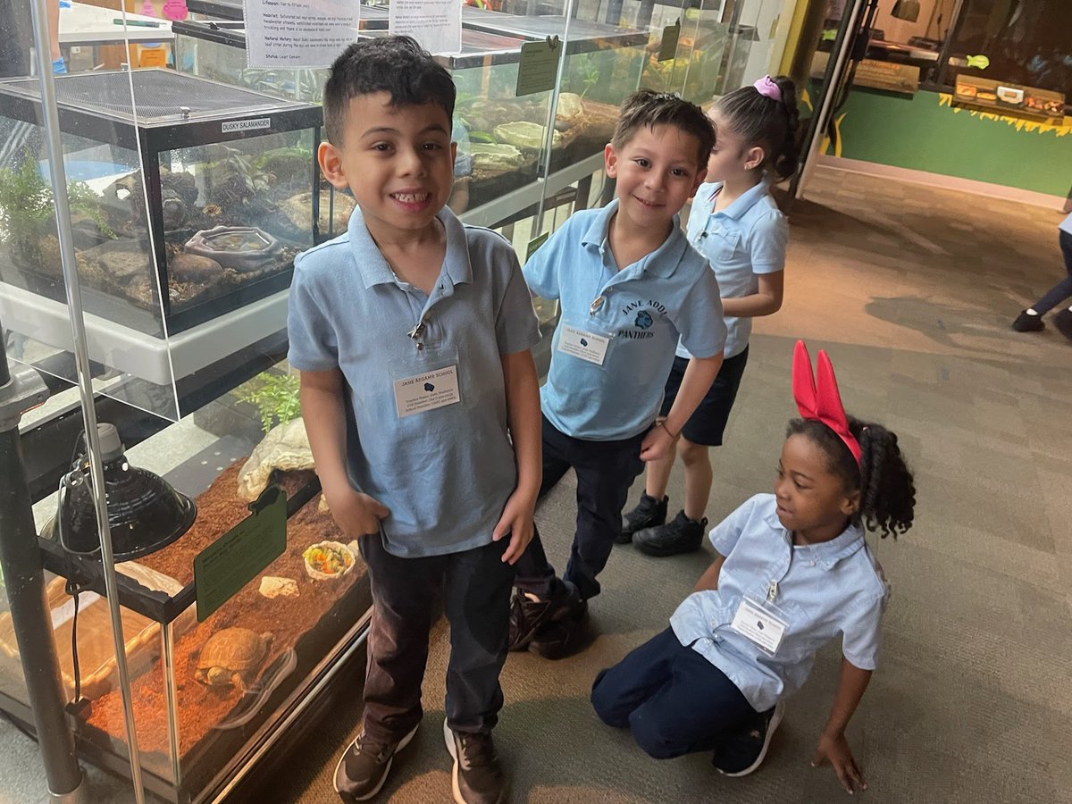 Jane Addams School tweet media