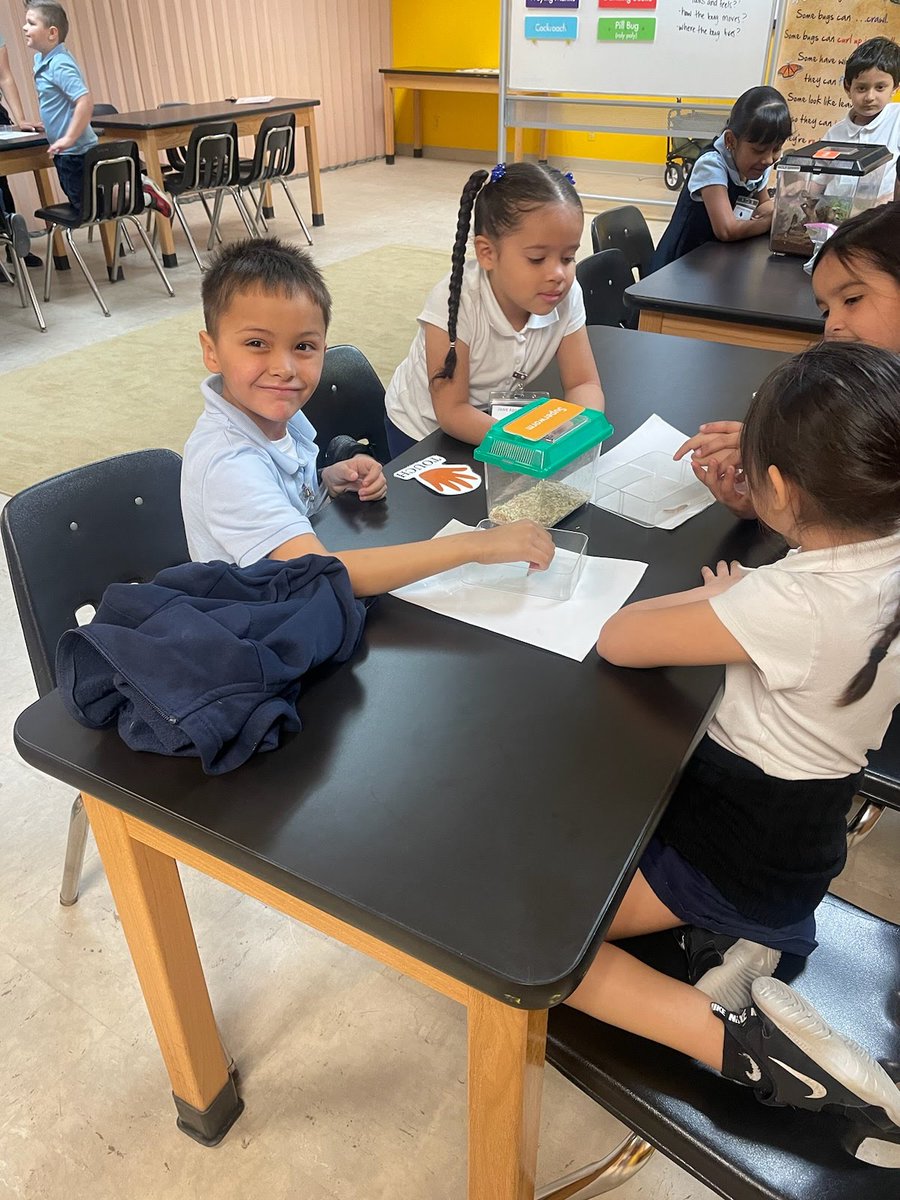 Jane Addams School tweet media