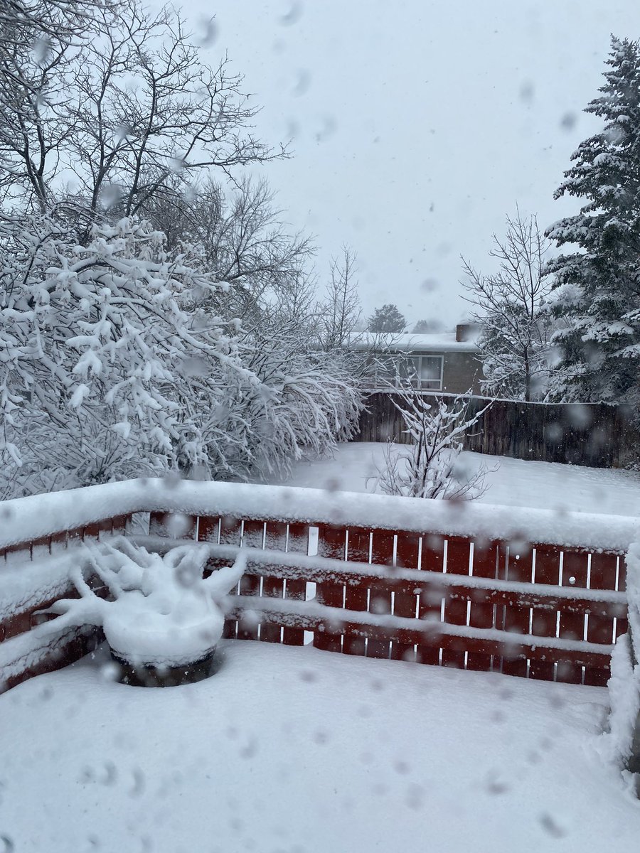 Melissa4HD23's tweet photo. Spectacularly unmotivated to start the day, but look- it’s a Winter Wonderland outside. #MTSpring https://t.co/FLUD64Obx8