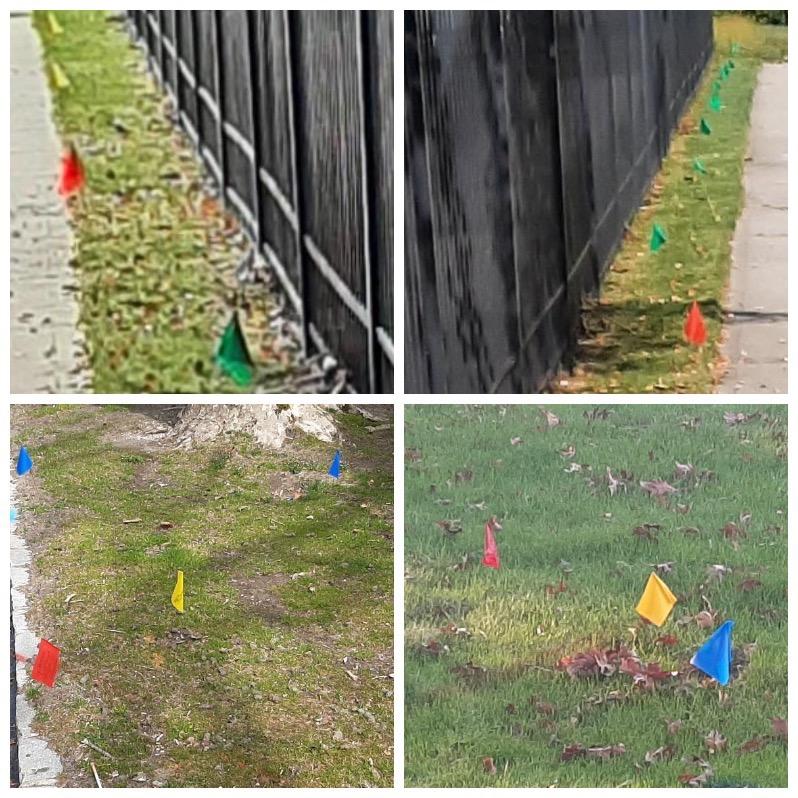 NewYork811_Rep3's tweet photo. In addition to using paint, flags are used for marking underground utilities when needed. It is vital for the safety of everyone that these flags are not removed or disturbed. https://t.co/qymAq8Hedx