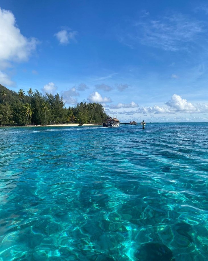 unwind 🌊🌴🏖️

#islands #moorea #polynesien #frenchpolynesianislands #blue #sharks #holiday #vacation #travelpost #travelphotography