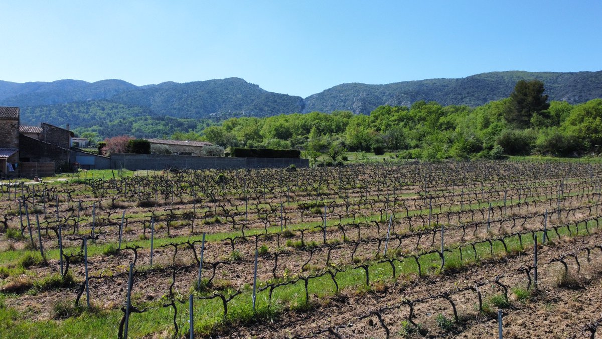 jj_wine's tweet photo. The stunning view of our Domaine des Jeanne vineyard makes us feel as if we are living in a movie. 🎥🎬🇫🇷🍷🍇☀️ 

#vineyard #VineYards #vineyardvines #vineyardhaven #vineyardwine #vineyardlife #Wine #winelover #winetasting #winery #southoffrance #oppede #oppedelevieux #france https://t.co/z0V1TmnKOA