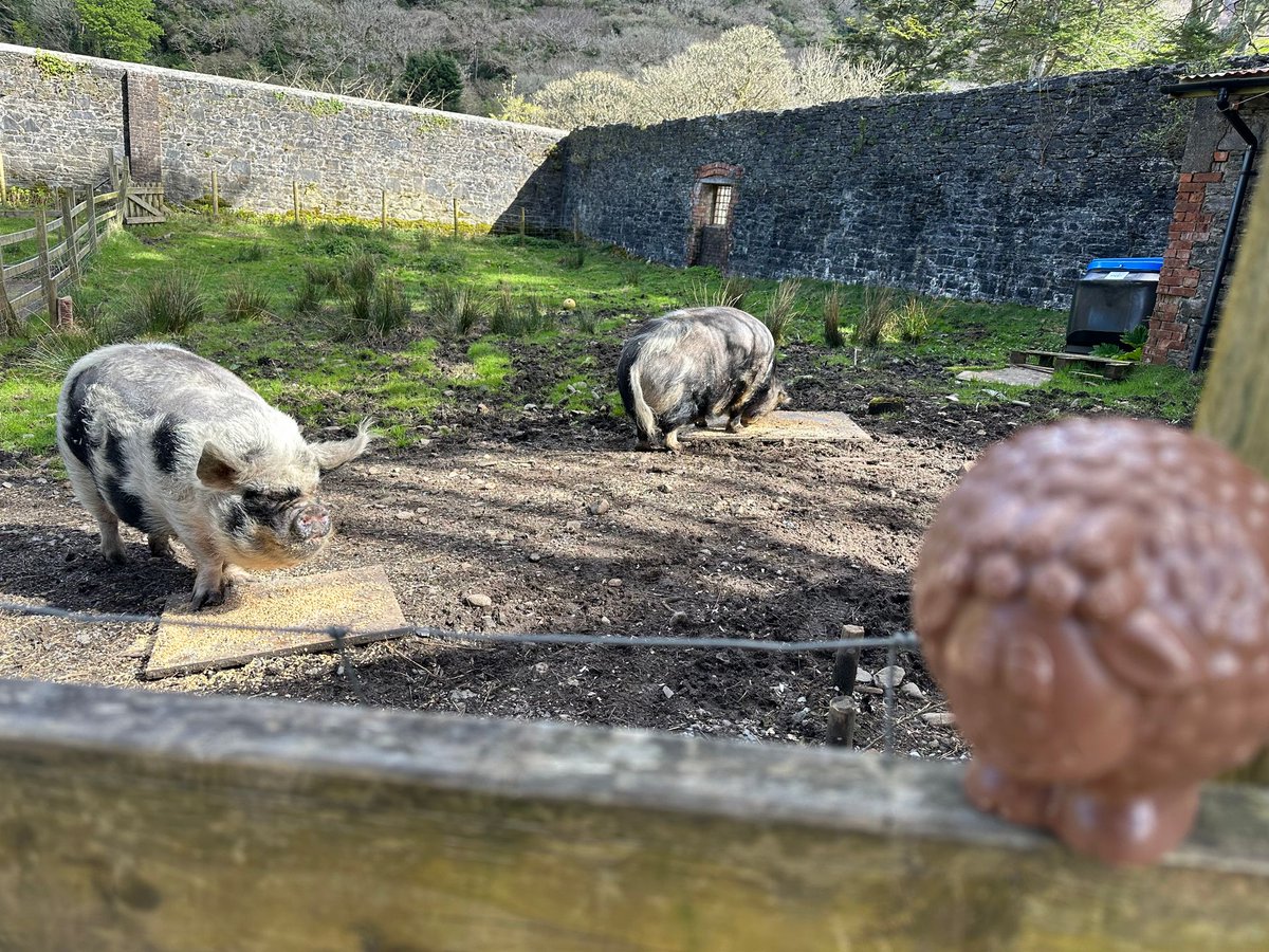 Kylemore Abbey tweet media