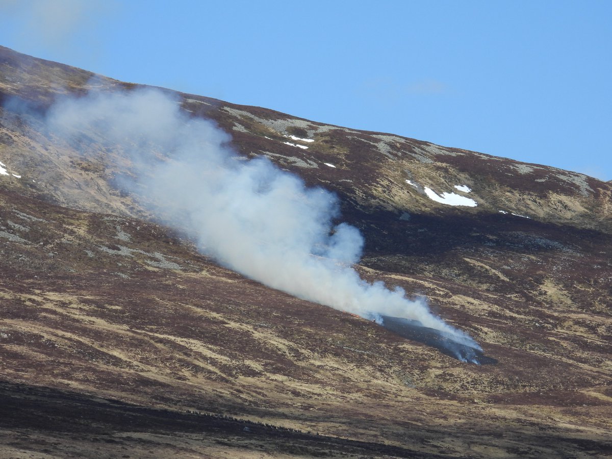 Muirburn in Glen Shee today, the season is allowed to be extended with landowner permission. What justification is there? Sch1 raptors are breeding, early breeders are on nests, waders will almost be on nests if not already, summer migrants are prospecting for territories (n1)