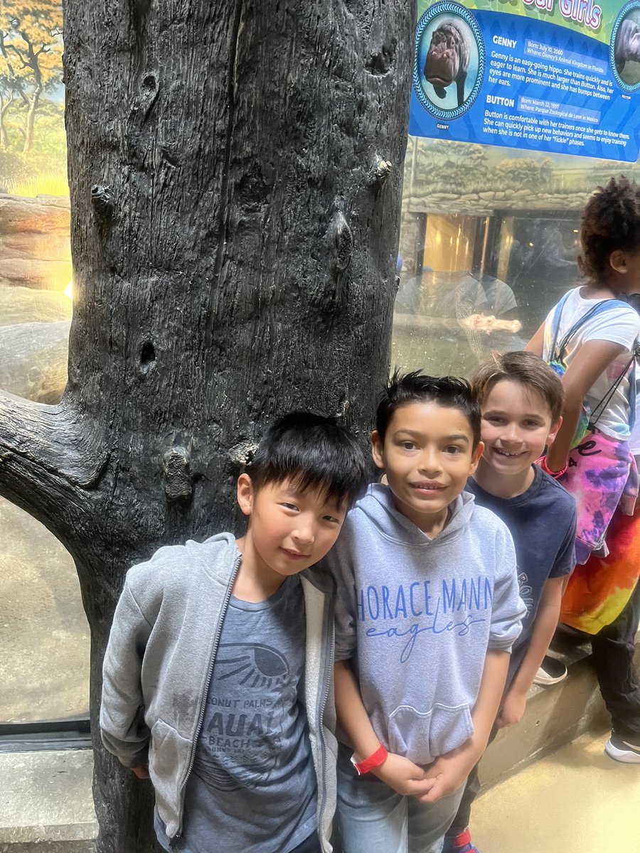 JoannaStabile's tweet photo. Sharks were definitely the faves! #sharktunnel  #sharkbridge https://t.co/C5hAkiBJjJ
