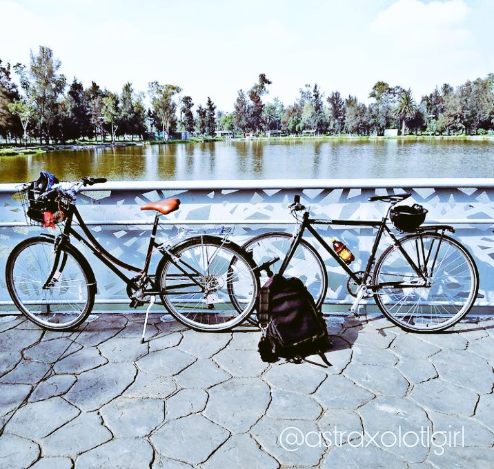 Astraxolotlgirl's tweet photo. Hoy #DiaMundialDeLaBicicleta #DiadelaBicicleta #bicicleta #velo #bicikloj #ровары #rothar #polkupyöriä #Fahrräder #자전거 #ποδήλατα #自行車 #Veloen #バイク #Fietsen
Lo celebramos yo , @ratondeciudadmx y @tanadeltopo vivan las bicis del mundo ! https://t.co/1tNBgtZB5o