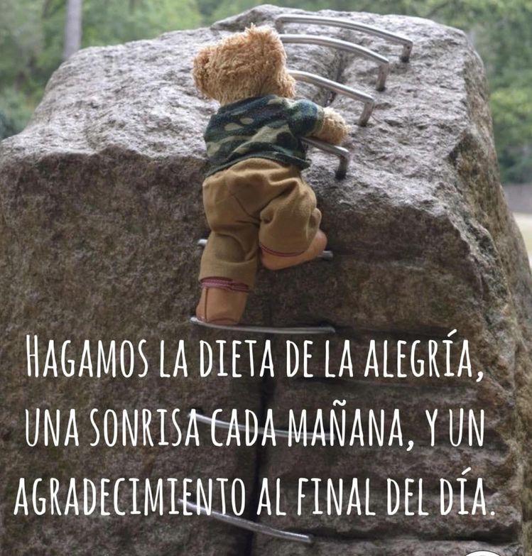 Catmausam's tweet photo. @waldoalarconho1 @AndreitaCardi @hegar1951 @Juancar30071948 @GloriaAgudeloCa @rrincon1963 @_Adri_J @Catmausan @Alejand91745800 @claudioabel2 @biolucho2005 @Flormita2 @JEMUNAR1 @Aladiestra1 @jomez3232 @argygar @Margari36127692 @jaimoda @milohe @Herolija @Cegusto @FlorMariaSerna5 @sheriran95 @marthamonita @LabradaAudrey @perejilcilantro @HappyCoffe13 @leocarlos47 @manolin55monroy @sandroJosMendo2 @herminlopez @colombianodemoc @CarolLe10669274 @PuertaRestrepo4 @Alejan45225207 @EdaSanchez5 @AndPiensaLibre @Sammy040665 @dyanedvalencia @GracilianoT @ARDACAMLI @Juanesco1965 @paty0367 @tibere57 @ValenciaGuille8 @majagual @ojodeaguila81 @EnHagame @miguelealeagain Buen resto de día amigos, a cuidar la salud nosotros mismos, porque con la reforma todo nos lo deforman.  #FelizMiercoles https://t.co/WOImyb63ox