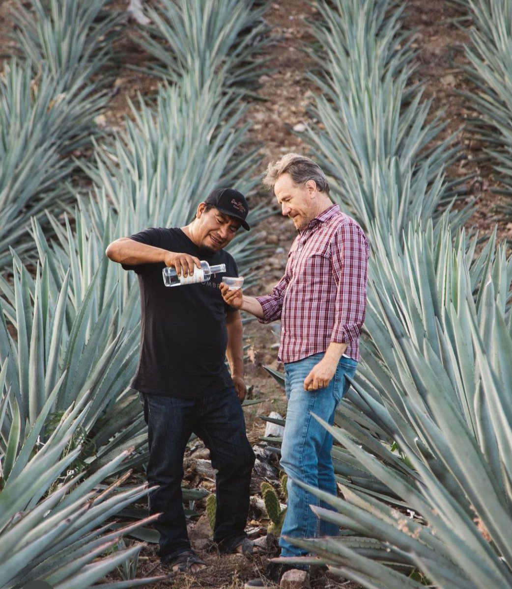 nvinoticiasoax's tweet photo. Los actores Aaron Paul y Bryan Cranston, la famosa dupla de la serie Breaking Bad, anunciaron que la marca de mezcal que lanzaron recientemente, "Dos Hombres" donará sus ganancias a la población de San Luis del Río, #Oaxaca. https://t.co/HuIszwj9Fc