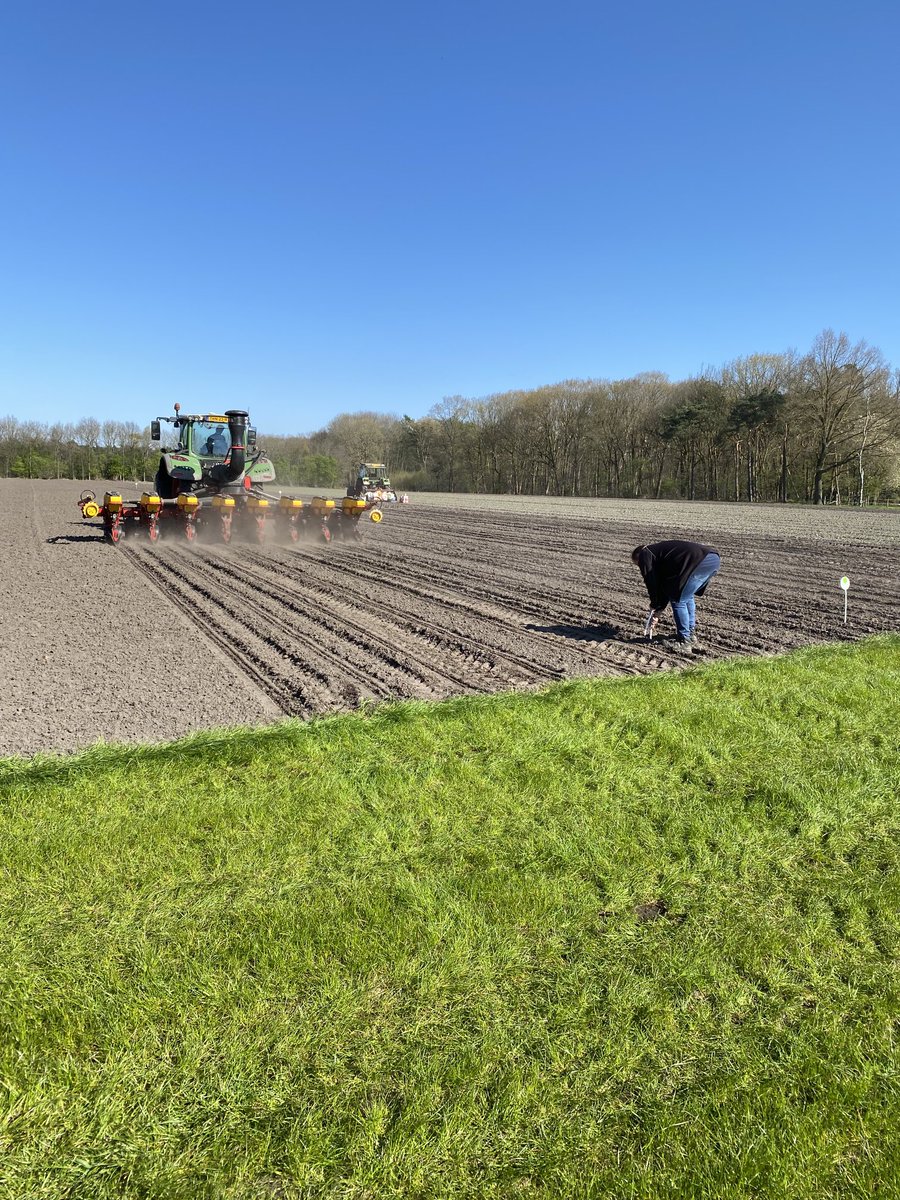 jan Theuws tweet media