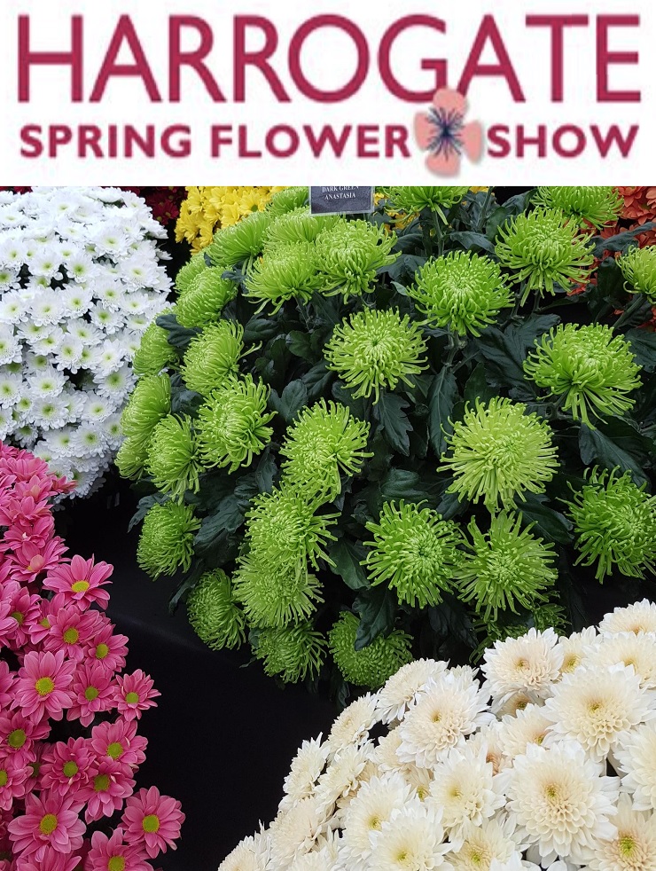 Another busy weekend for the Rhucello team with 2 stalls on the go. Yes, that's right, a Rhucello double bubble. Find us at the amazing Harrogate Flower show and the equally amazing Bishop Auckland Food Festival.

#Rhucello #Rhubarb #Wakefield #Yorkshire #Bishfoodfest