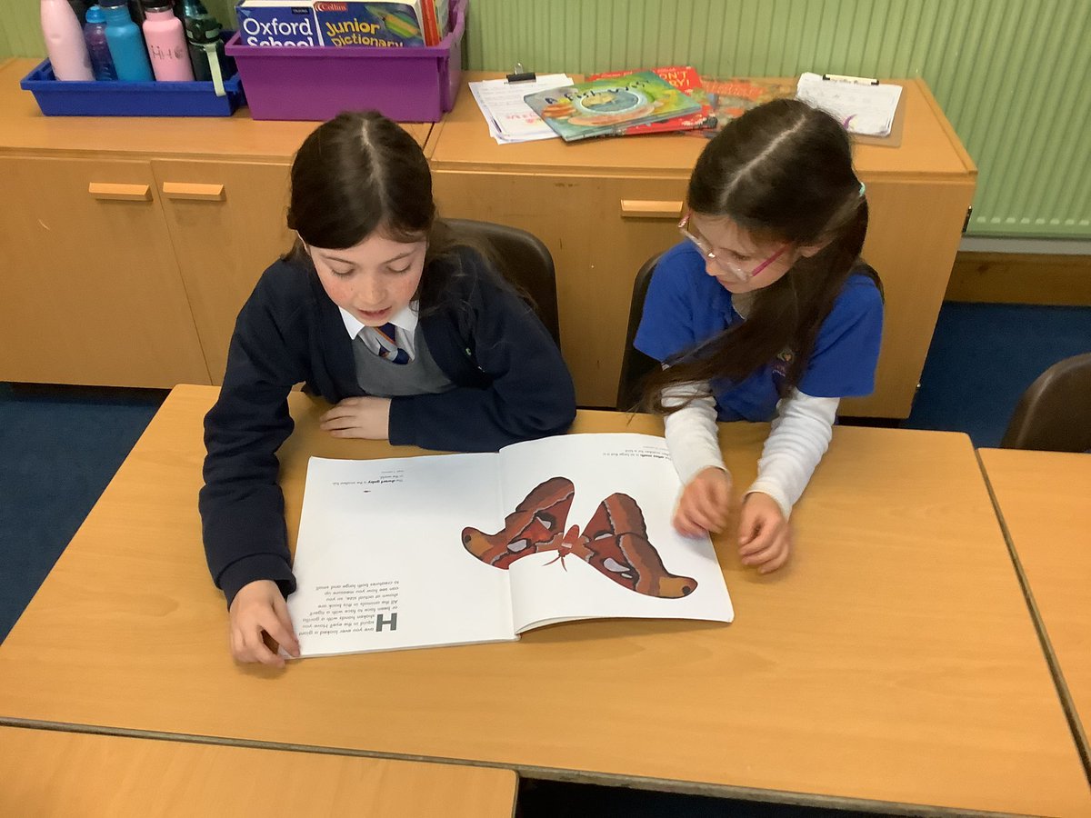 NPSMissEllis's tweet photo. Year 2 love reading with their Year 5 reading buddies on a Wednesday afternoon. What a great way to relax and rewind after a busy day of learning! @NPS5B #NPSReading #NPSEnglish https://t.co/h3IUxthKro