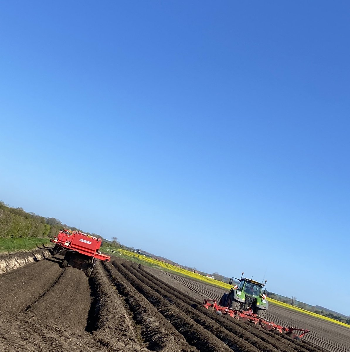 JSScholes1's tweet photo. Not sure who is chasing who here….#makingon #spuds #contracting #yorkshirewolds #bigskies https://t.co/86ud1NMj3W