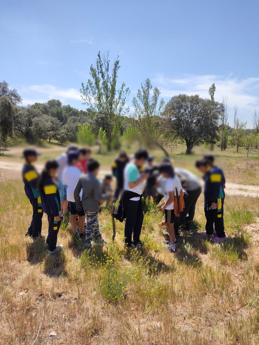 LegadoCrespo's tweet photo. Hoy el alumnado de 4° y 5° ha podido disfrutar de una clase de medio ambiente en el aula de interpretación de la naturaleza de Tres Cantos 🌿🐝
#madridunlibroabierto https://t.co/bIsCZaUKQ8