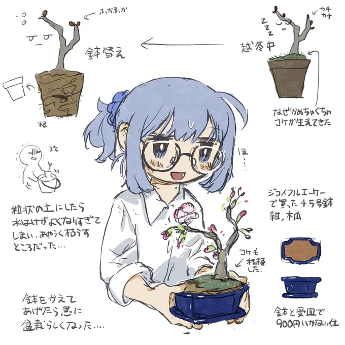 🌸 