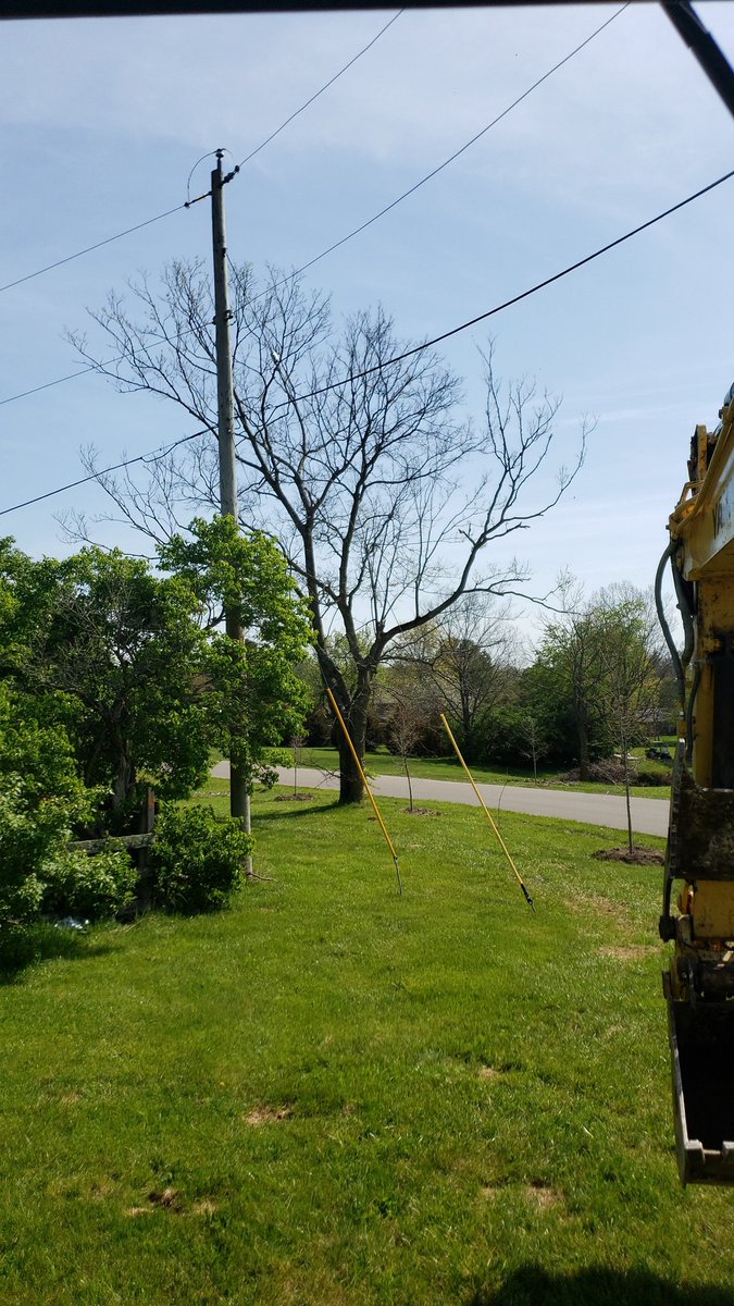 Ozman0130's tweet photo. Task of the day.... get that tree down...
#LuckyLlama #DaysWork @theluckyllamas @PapitoSur4 https://t.co/wQjqNhbj3I