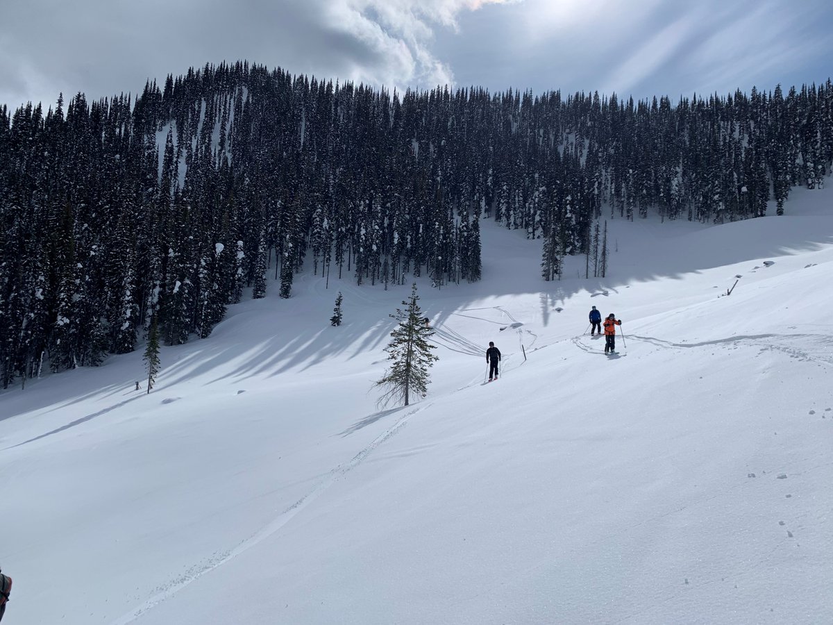 IPAPhysio's tweet photo. 🗻 Foster King, IPA Physio Portland Director, discovers his potential in the British Columbia backcountry ⛷

IPA Physio's purpose is to restore your function so you can do what brings you joy at any age!

#ipaphysio #joy #motionislotion #physio #functionalmanualtherapy #outdoors https://t.co/zrXsL6Jifd