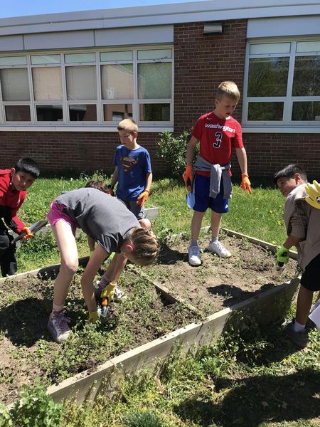 It’s been gorgeous weather to beautify our garden! 5th and 6th graders helped clean the beds to prepare for new flowers! Thank you Educate Fairfax and FCPSGet2Green for providing a grant so this could happen and  to Mrs. Opsahl for making it happen!