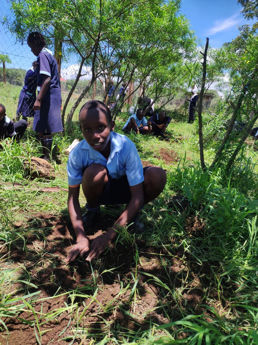 Babu_Siaka's tweet photo. In recent years, there has been an increasing interest in environmental conservation and sustainability among young people around the world. As a result, youth engagement in tree planting exercises has become a popular activity for many individuals and organizations. https://t.co/8lop7engQm