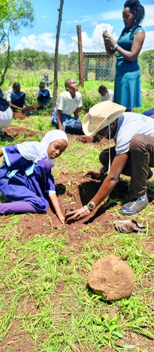Babu_Siaka's tweet photo. In recent years, there has been an increasing interest in environmental conservation and sustainability among young people around the world. As a result, youth engagement in tree planting exercises has become a popular activity for many individuals and organizations. https://t.co/8lop7engQm