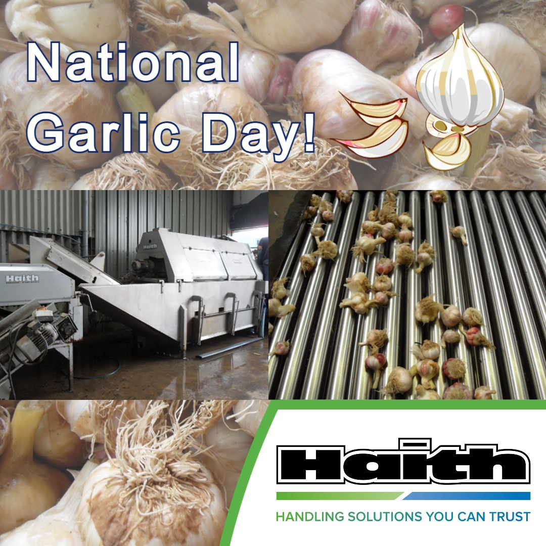 HaithGroup's tweet photo. Happy National Garlic Day!
Contact us to discuss all out vegetable processing and packaging solutions, including garlic, onions, potatoes and carrots. 🧄🧅🥔🥕
#NationalGarlicDay
#garlic
#vegetablehandling https://t.co/Lf5BOQQDNI