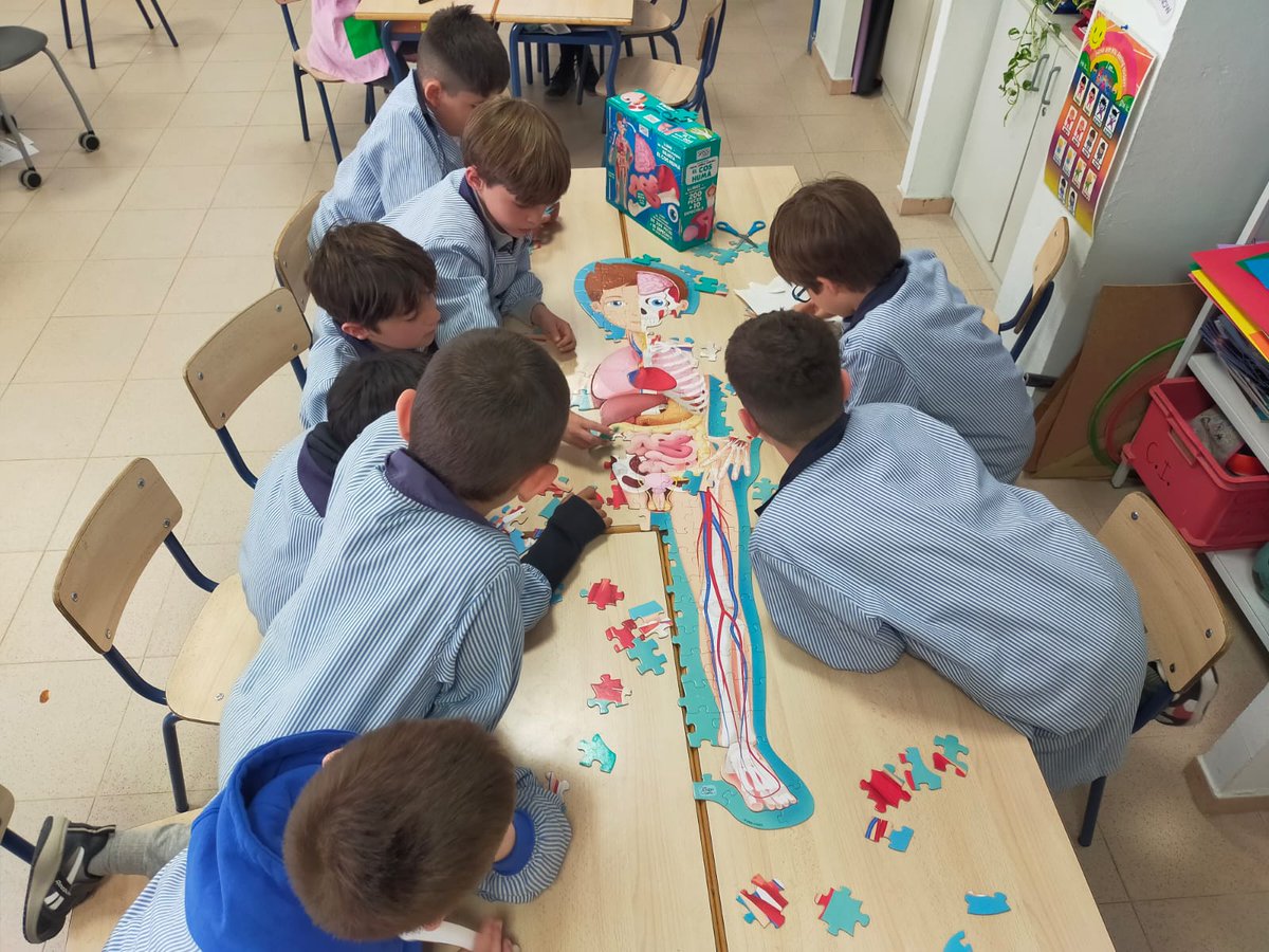 virolai_molins's tweet photo. 2nPRI: Iniciem el darrer projecte d'aquest curs "El cos humà". Tenim moltes ganes d'aprendre i descobrir coses sobre el nostre cos #projecteelcoshumà #cicleinicial https://t.co/Ws1u74Ado8