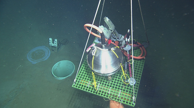 SeismoSocietyAm's tweet image. Using machine learning techniques to sift through ocean bottom #seismometer data, @Lamont_Doherty scientists heard fin whale calls, earthquakes and lava bubbling along the seafloor at #Axial #Seamount, off the Oregon coast bit.ly/3KQWBzT