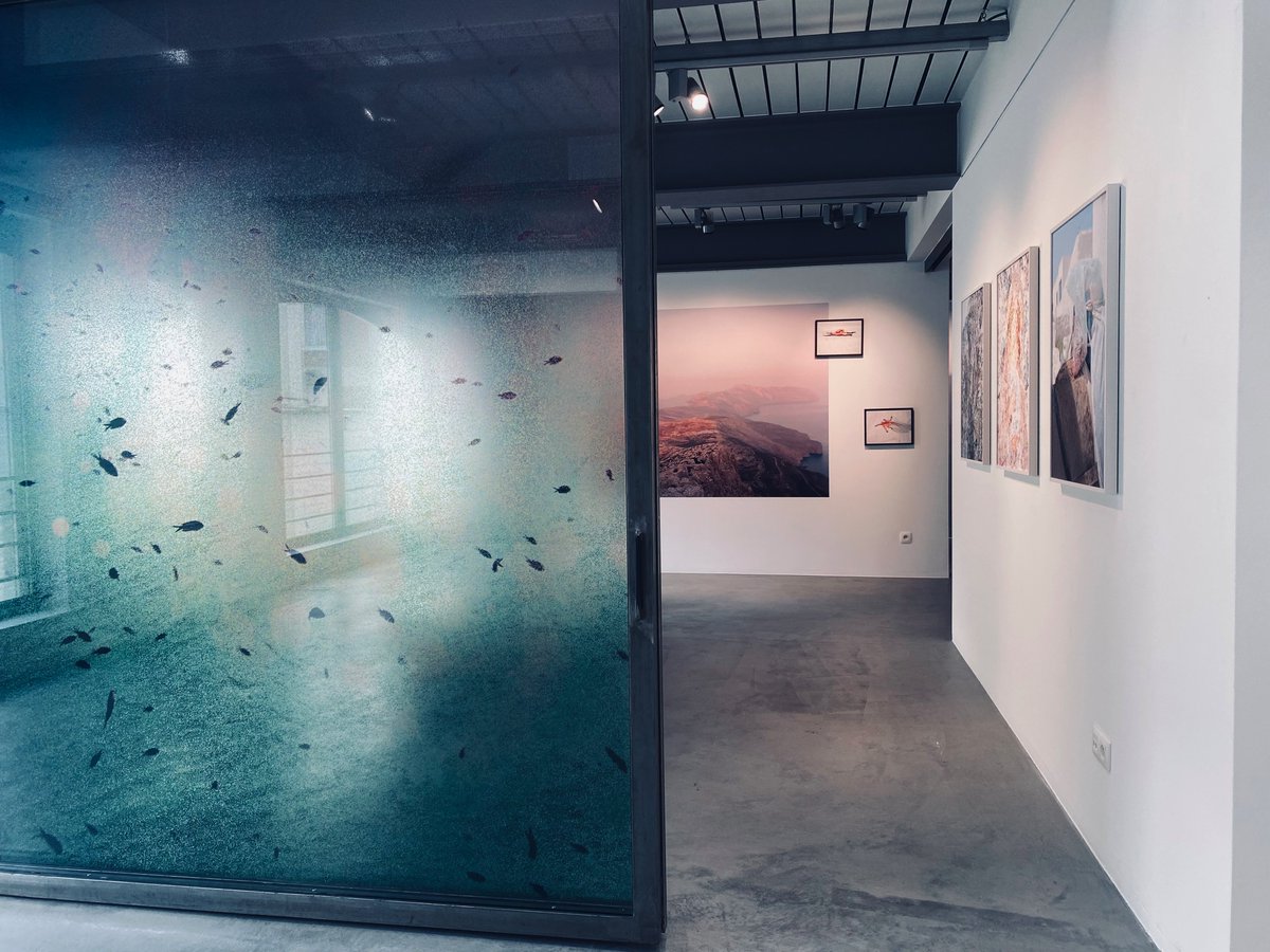 dcregarts's tweet photo. Reg'Arts: Trois expositions photos au Hangar à Bruxelles https://t.co/pkt7rYtlKv #regarts #art #culture #photo #bruxelles #artcontemporain #contemporaryart #Exposition #hangar https://t.co/zh5NUL7sSv
