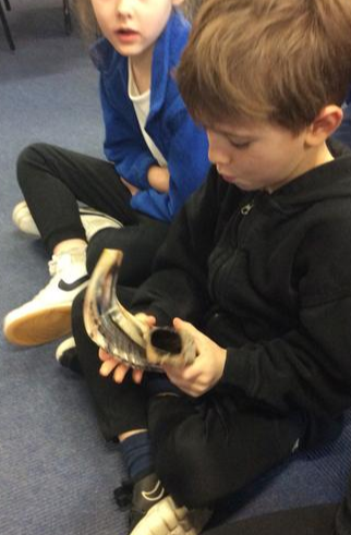 Miss Wheeldon tweet media