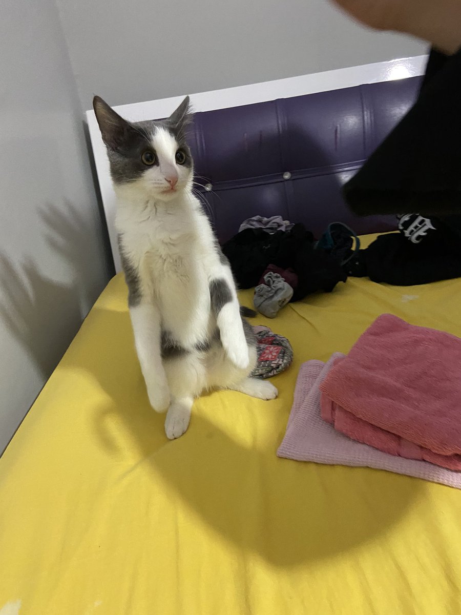 Akıma yeni bir soluk getirmek de istiyorum