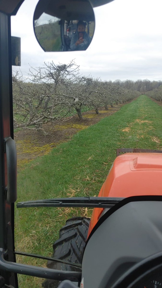 When spring makes you happy❤️😁🌿🌺