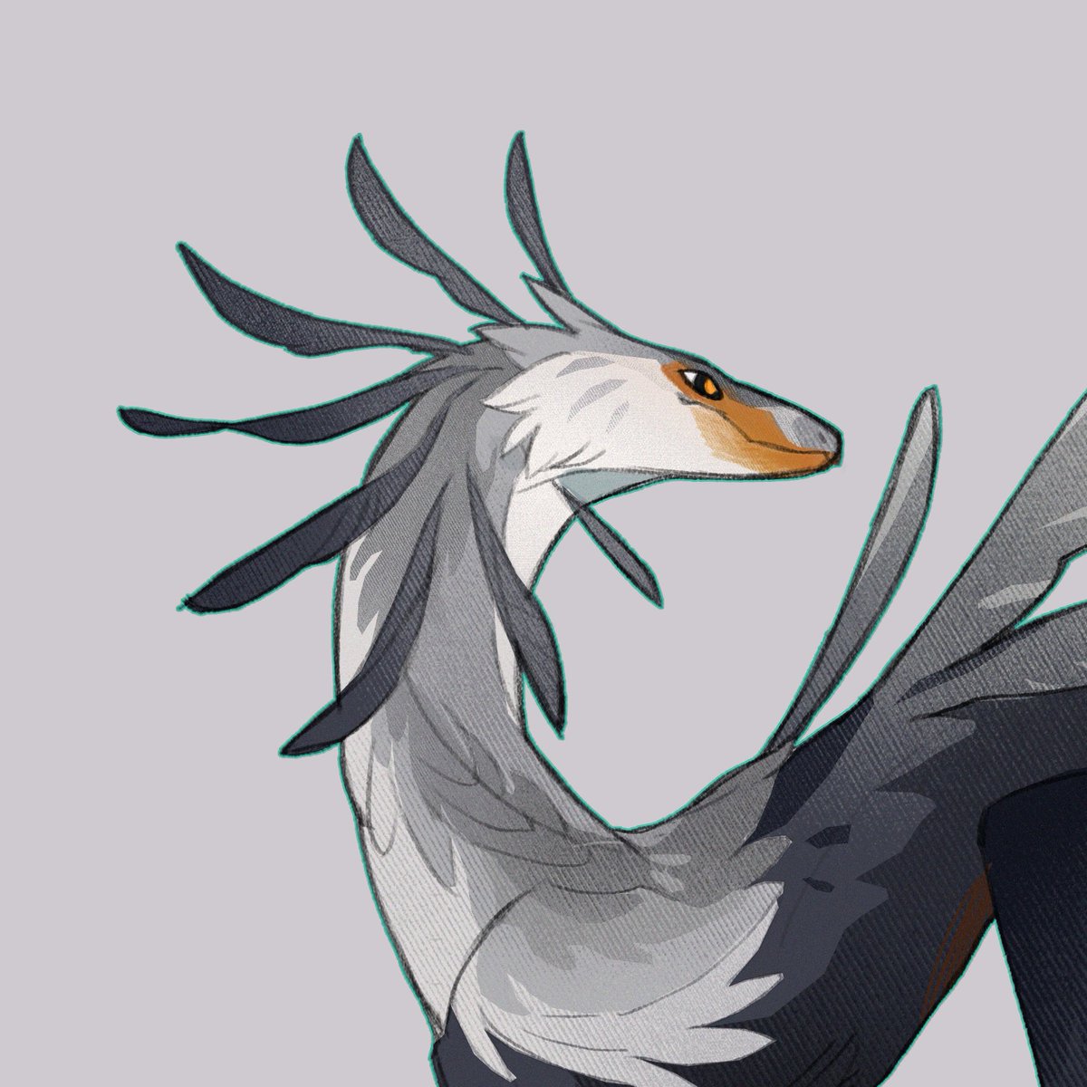 Chien.D.North tweet media