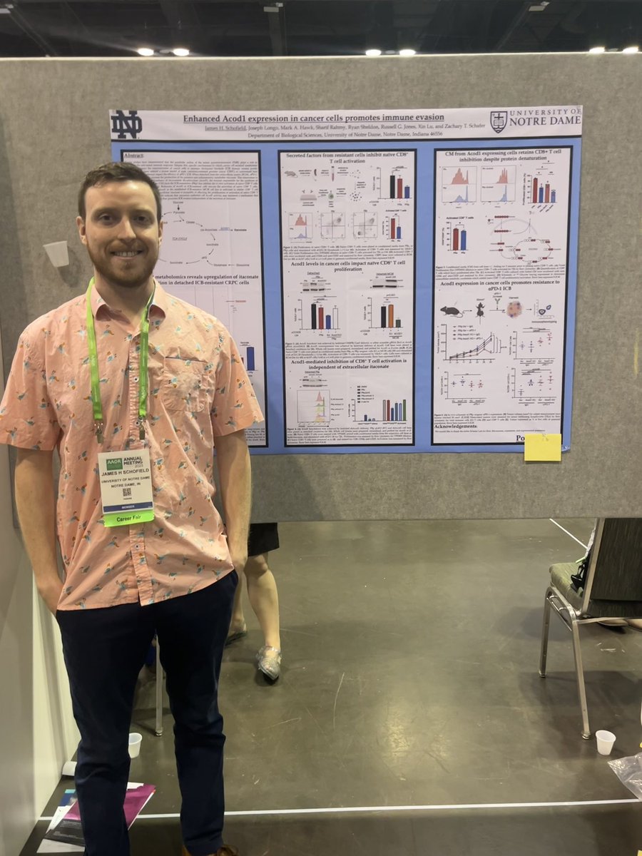 Lisa Hom tweet media