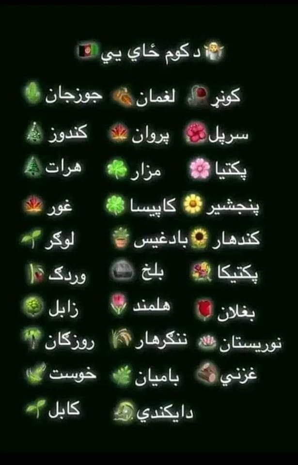 تاسی دی کوم ولایت یاست زه دی  #لوګر یم