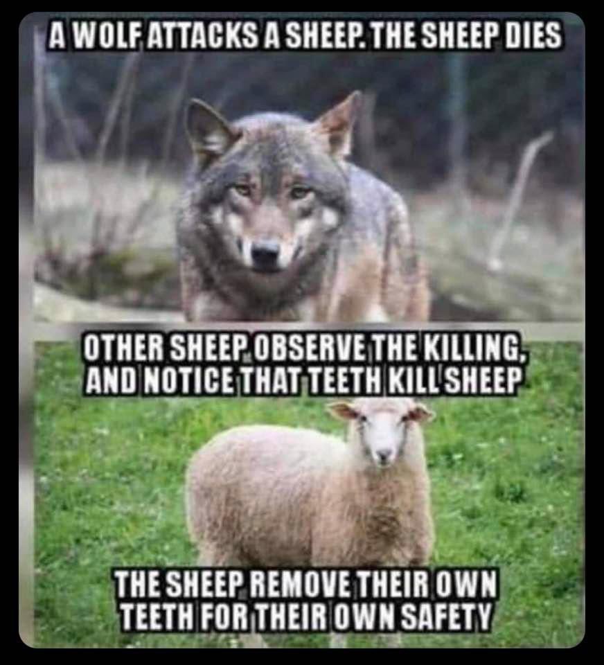 Doug Banks tweet media