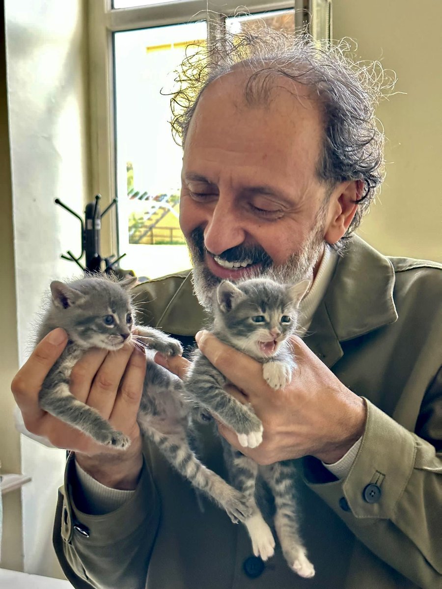 “Hiç Kimsenin Topkapı Kedileri’nden Haberi Yok” 😊 İstanbul Topkapı Üniversitesi Sosyal Gençlik Kulübü öğrencileriyle buluşmadan önce kedileriyle buluştuk ❤️