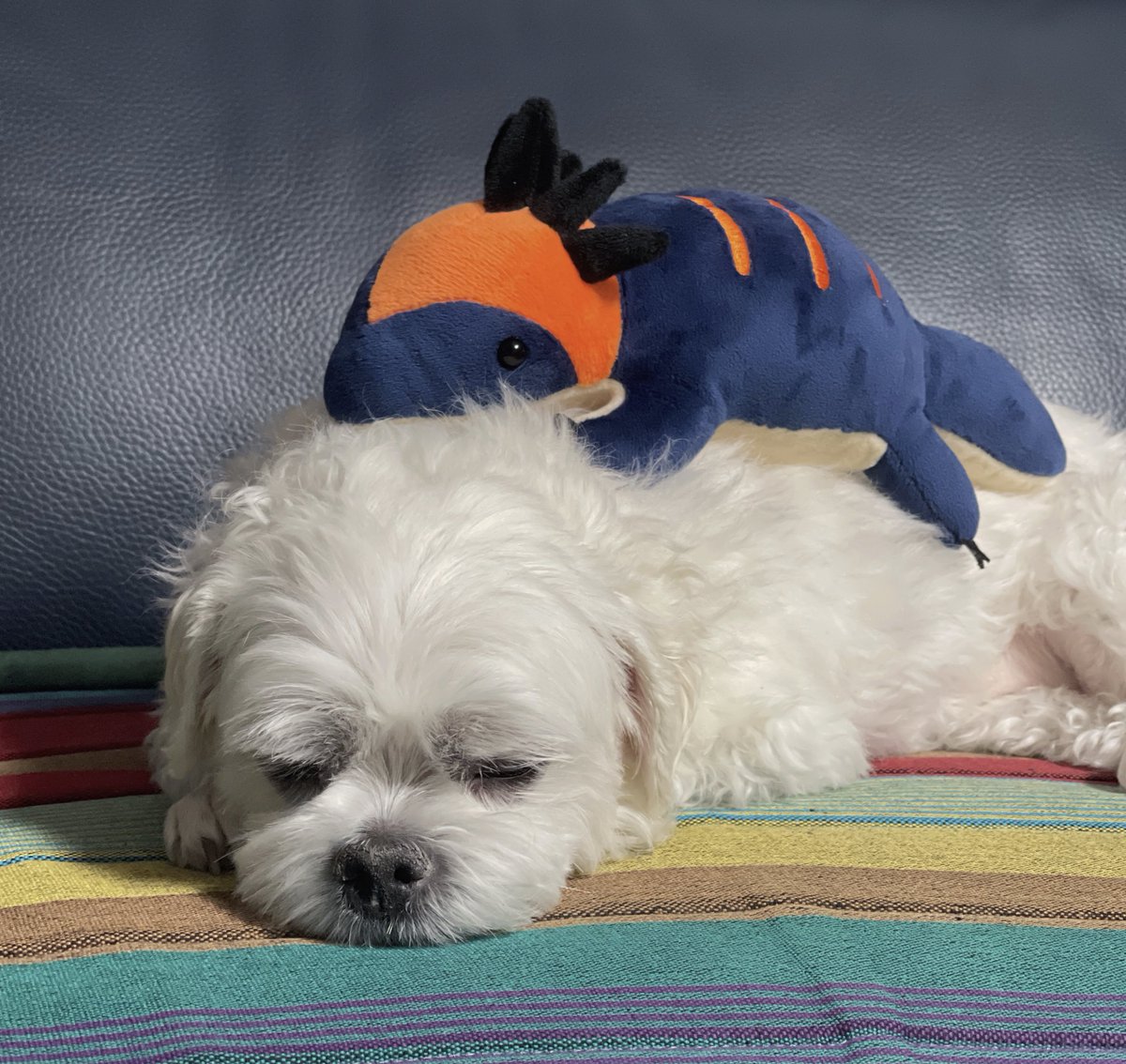 금마뱀도 잘 지내고 있어요