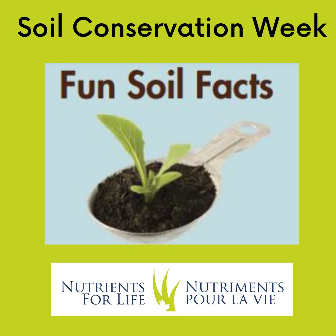 N4LCanada's tweet photo. Did You Know? There are more organisms in a tablespoon of soil than there are people on earth. Explore #soilscience with your students. Check out N4L resources https://t.co/1GoYptWwm2  @soilcouncil @sasksoil #AgEducation #CdnAg #SoilConservationWeek https://t.co/m550l6IAVr